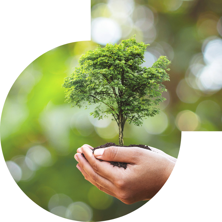 关怀人类、文化、环境与社会